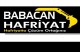 Babacan Hafriyat