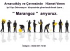 Marangoz  Aranıyor