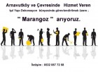 Marangoz  Aranıyor