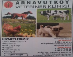 Arnavutköy Veteriner