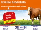 Karadeniz  Besicilik- 0534 240 1461