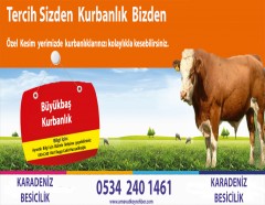 Karadeniz  Besicilik- 0534 240 1461