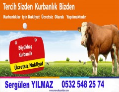 Yılmaz  Besicilik